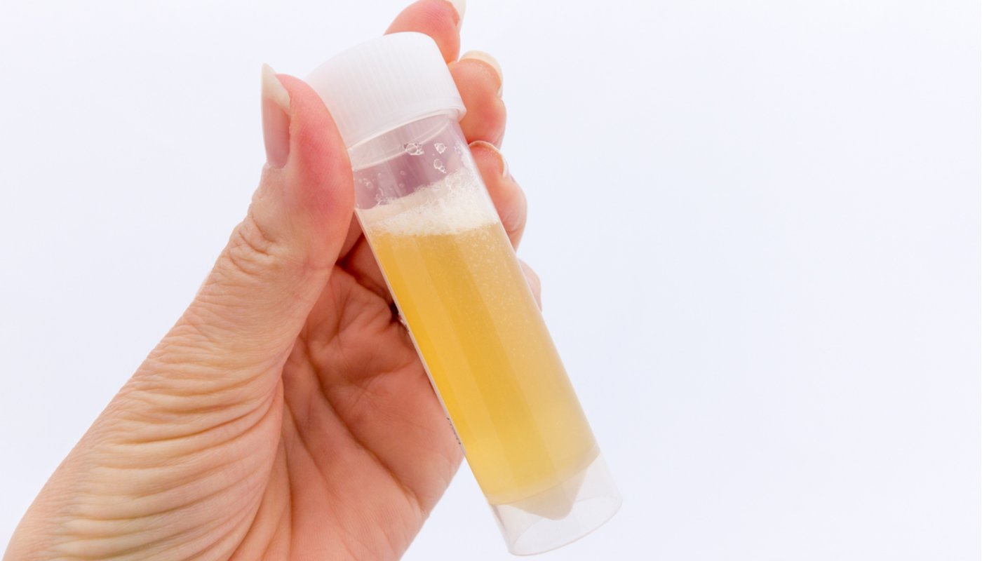 Creen un sistema a Espanya per convertir l'orina d'astronautes en combustible per a les naus