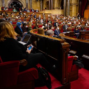 El diputats deixen en un calaix la regularització de les dietes del Parlament