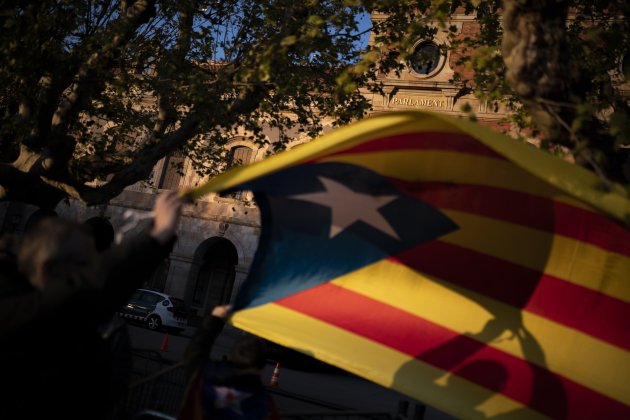 (Alta) Manifestació escola en català, Via Laietana fins Parlament ambiente estelada Joan Mateu Parra 