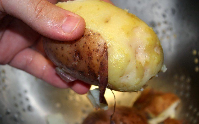 amanida patates arengada pas23
