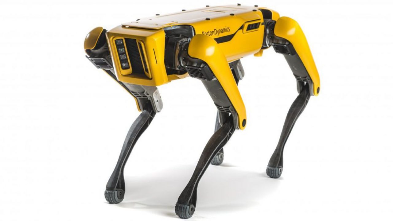 Arriben els animals robots, i hi haurà de tot: guepards, abelles o cangurs