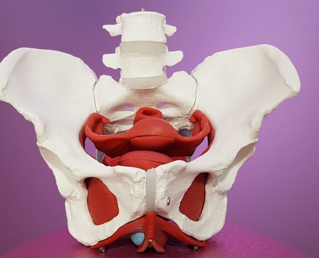 ¿Cuidas tu suelo pélvico? Te contamos cómo hacerlo y por qué es importante