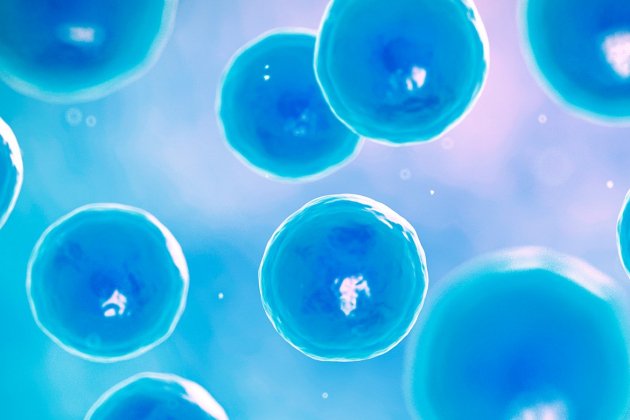 Reprogramación de células