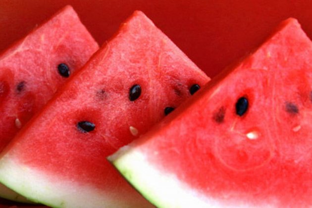 sandia