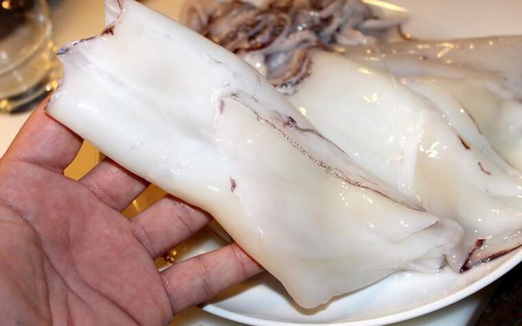 carutx calamar pas1