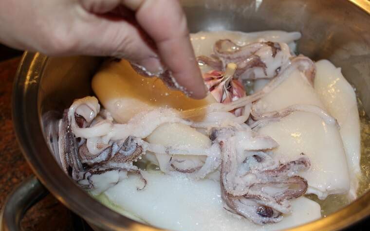 carutx calamar pas6