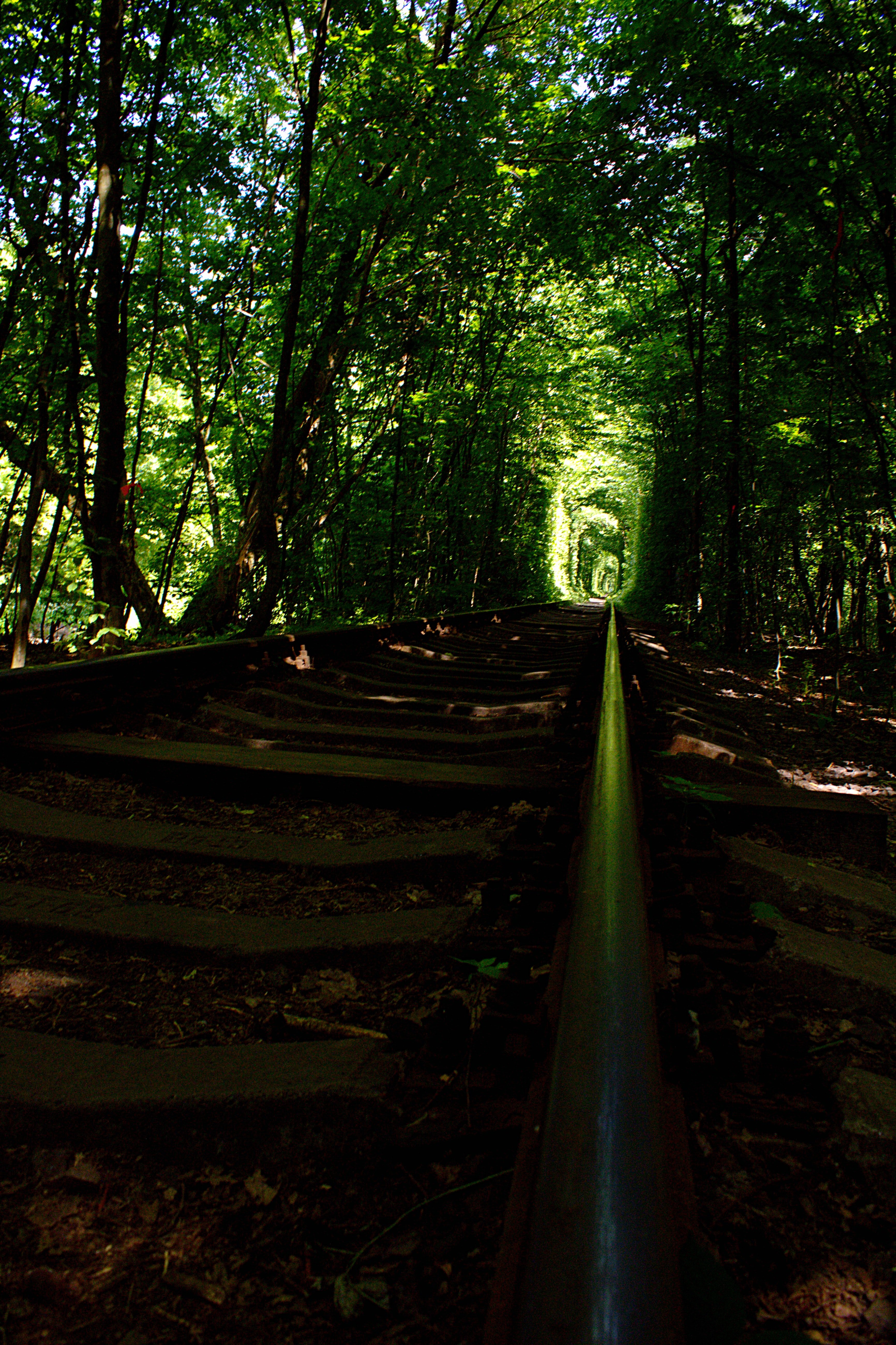 Ucraïna: la guerra no ha destrossat encara el Túnel de l'Amor