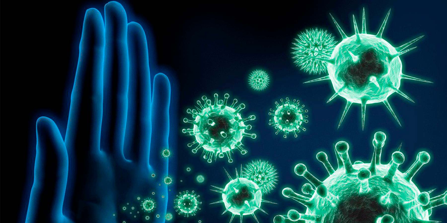 ¿Cómo podemos fortalecer nuestro sistema inmunológico?