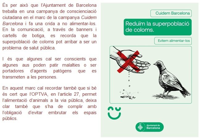 campaña no alimentar palomas barcelona ajbcn