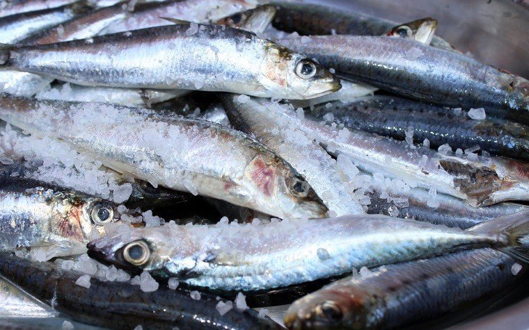 sardines brasa pas8