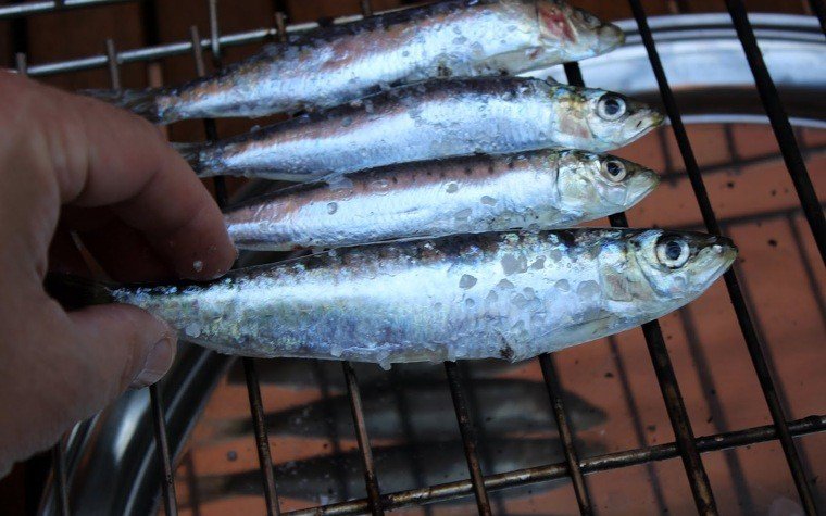 sardines brasa pas9