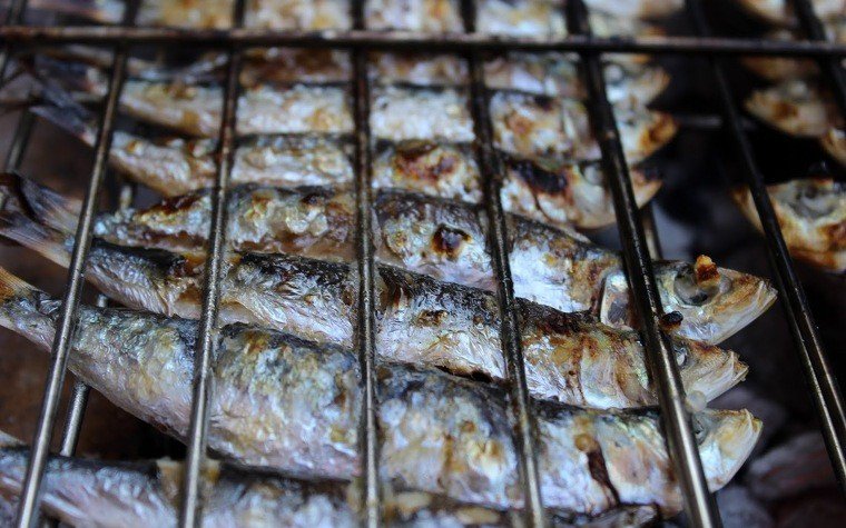 sardines brasa pas16