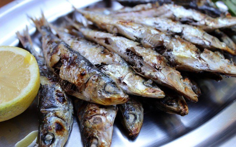 sardines brasa pas19