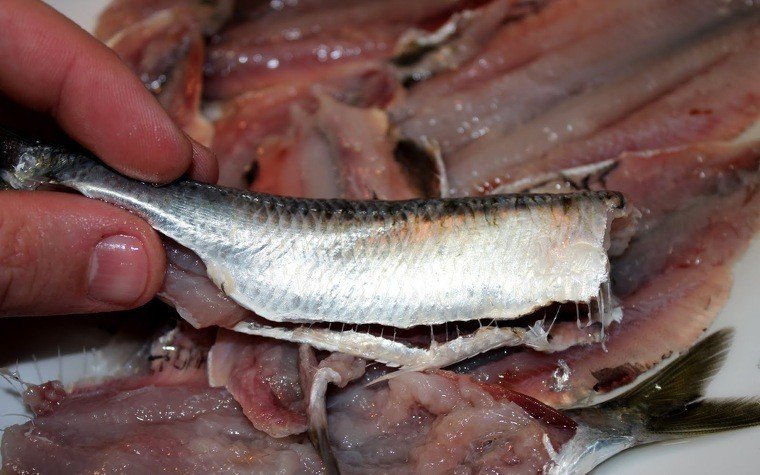 sardines arrebossades ou all julivert pas1