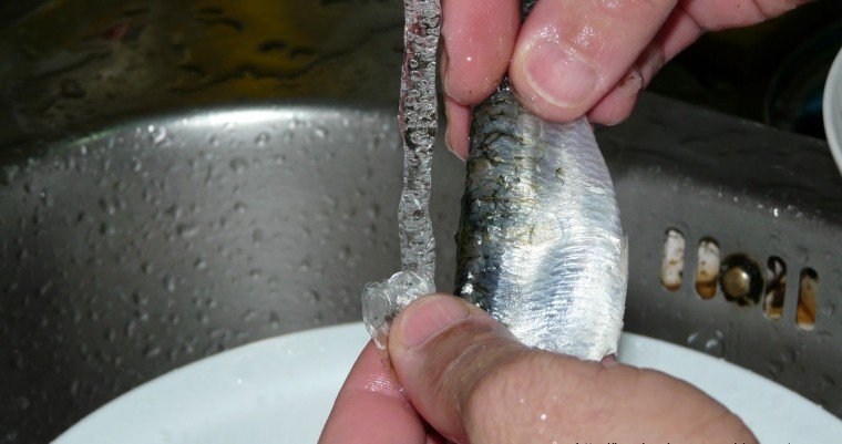 sardines escabetx pas2