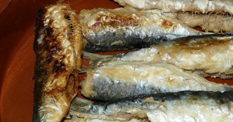 sardines escabetx pas14