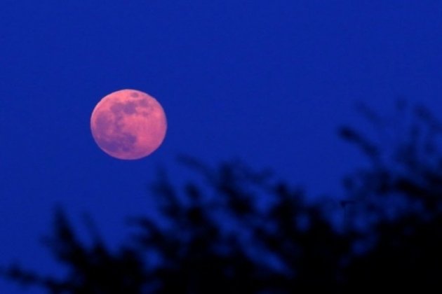Lluna rosa d'abril