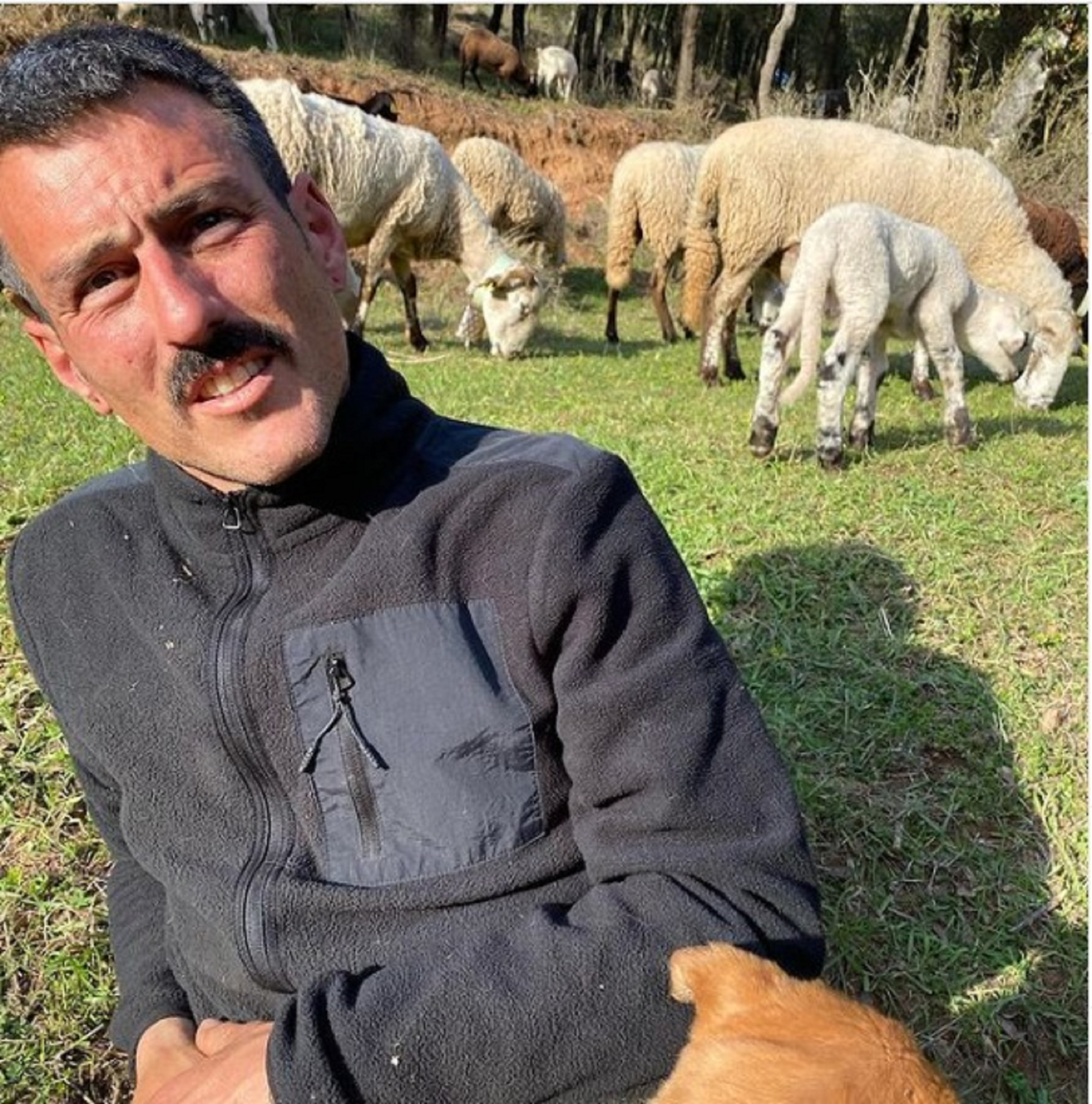 Queixes del pastor que va contractar Colau: "No tinc ni aigua ni llum"