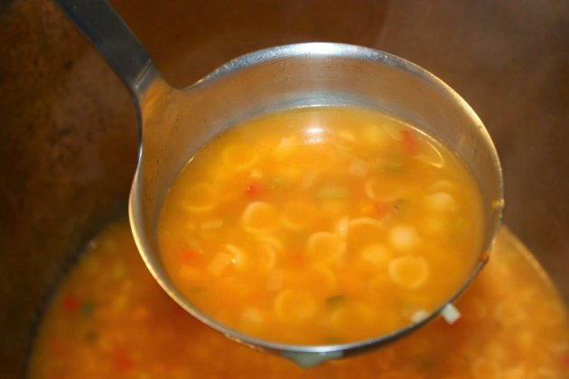 sopa jardinera pas000