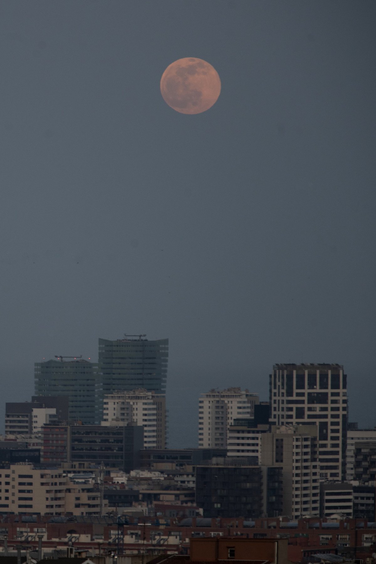 Otro punto de vista de la luna rosa en el cielo de Barcelona