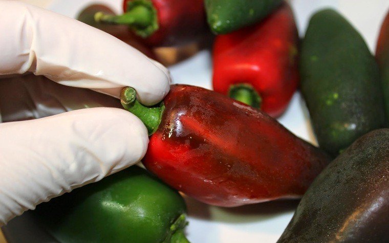 jalapenos farcits formatge pas3