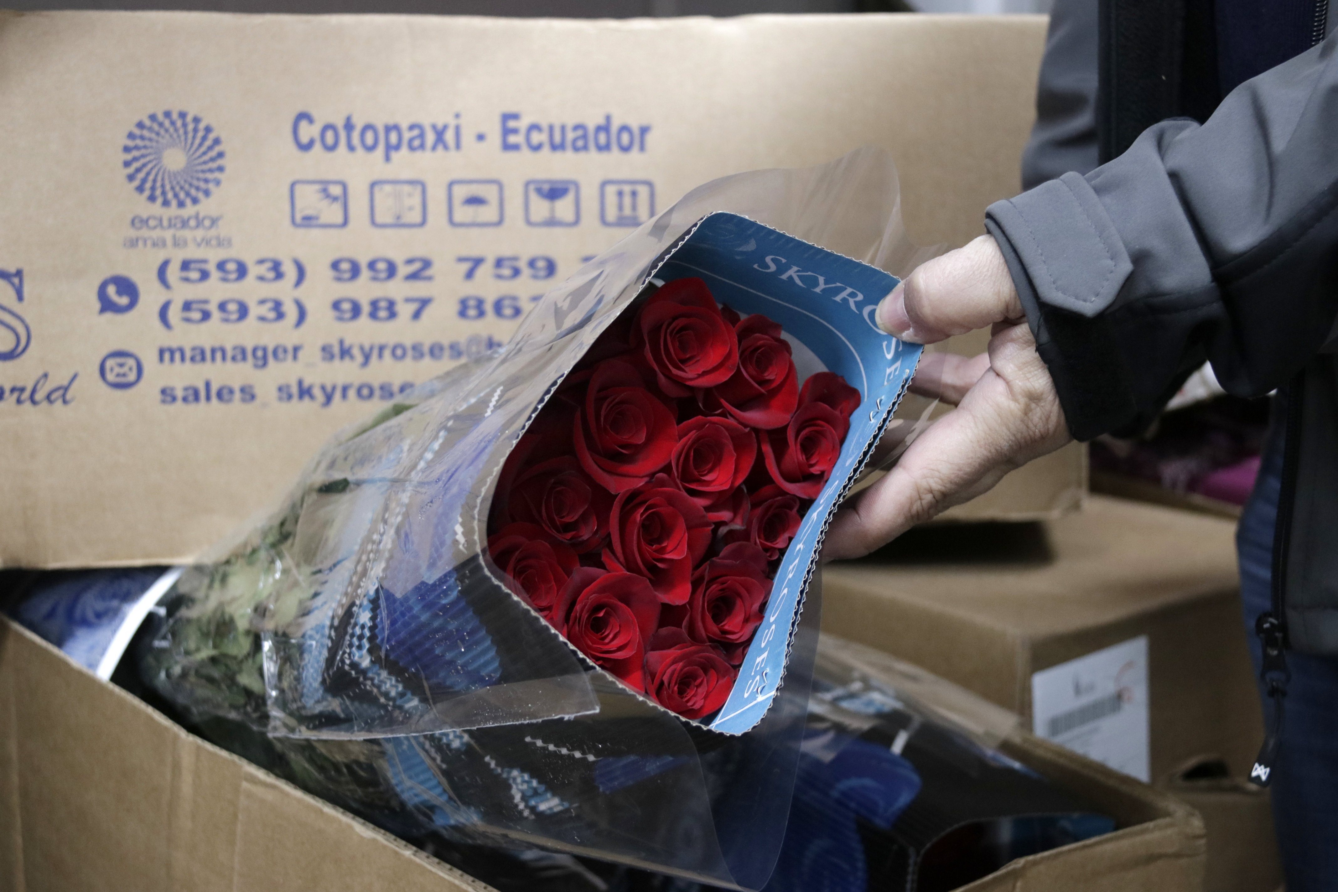 El preu de la rosa de Sant Jordi també es dispara per la inflació