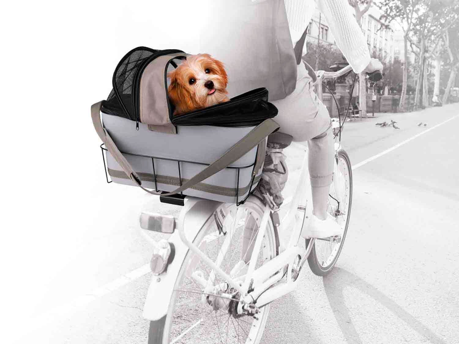 Inventan el primer perro guía robot para personas con discapacidad visual