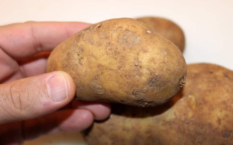 patates allioli pas1