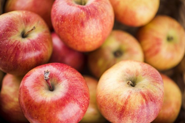 manzana saciante manzana saciante