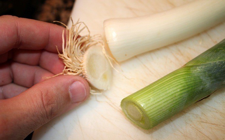 xampinyons farcits botifarra dou porro roquefort sobre crema xampinyo pas6