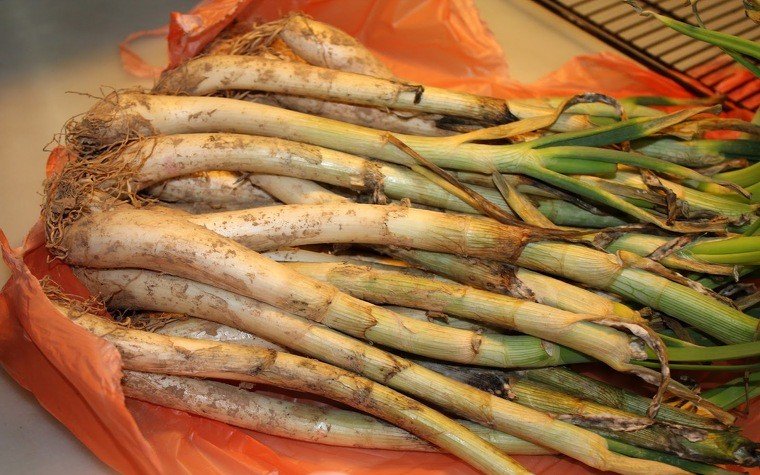 calcots al forn pas3