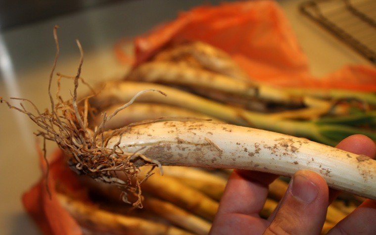 calcots al forn pas4