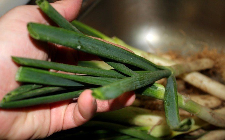 calcots al forn pas5