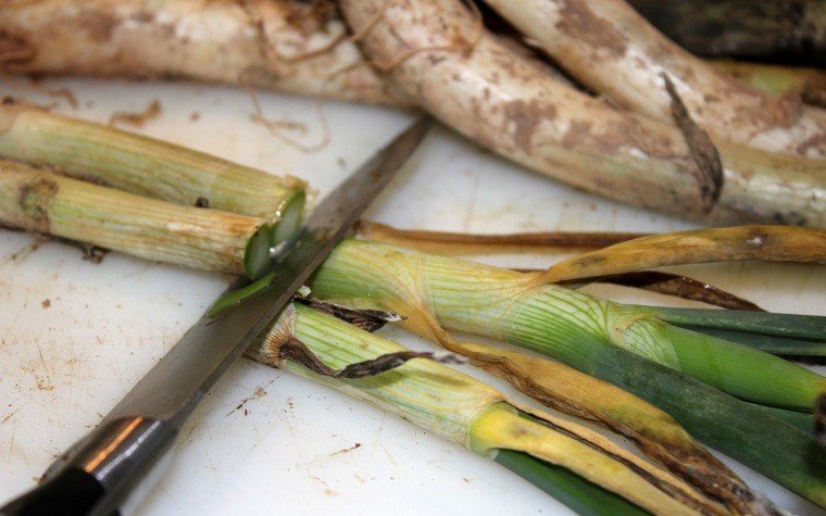 calcots al forn pas6