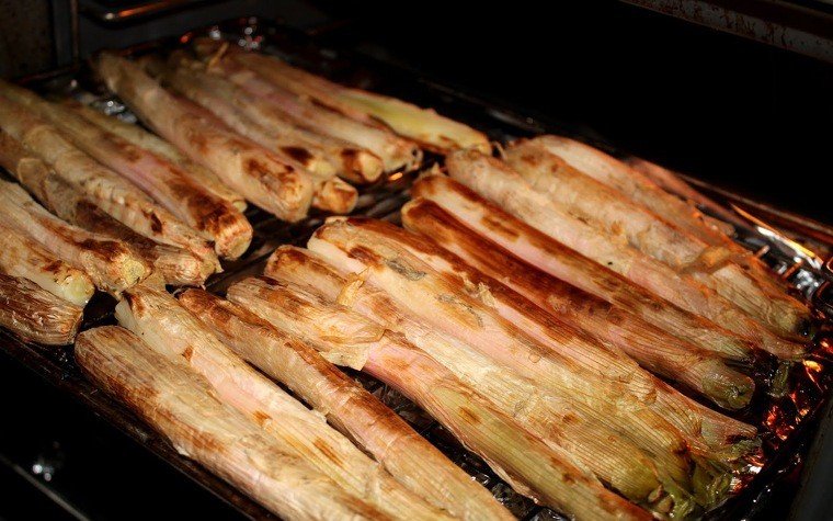 calcots al forn pas14