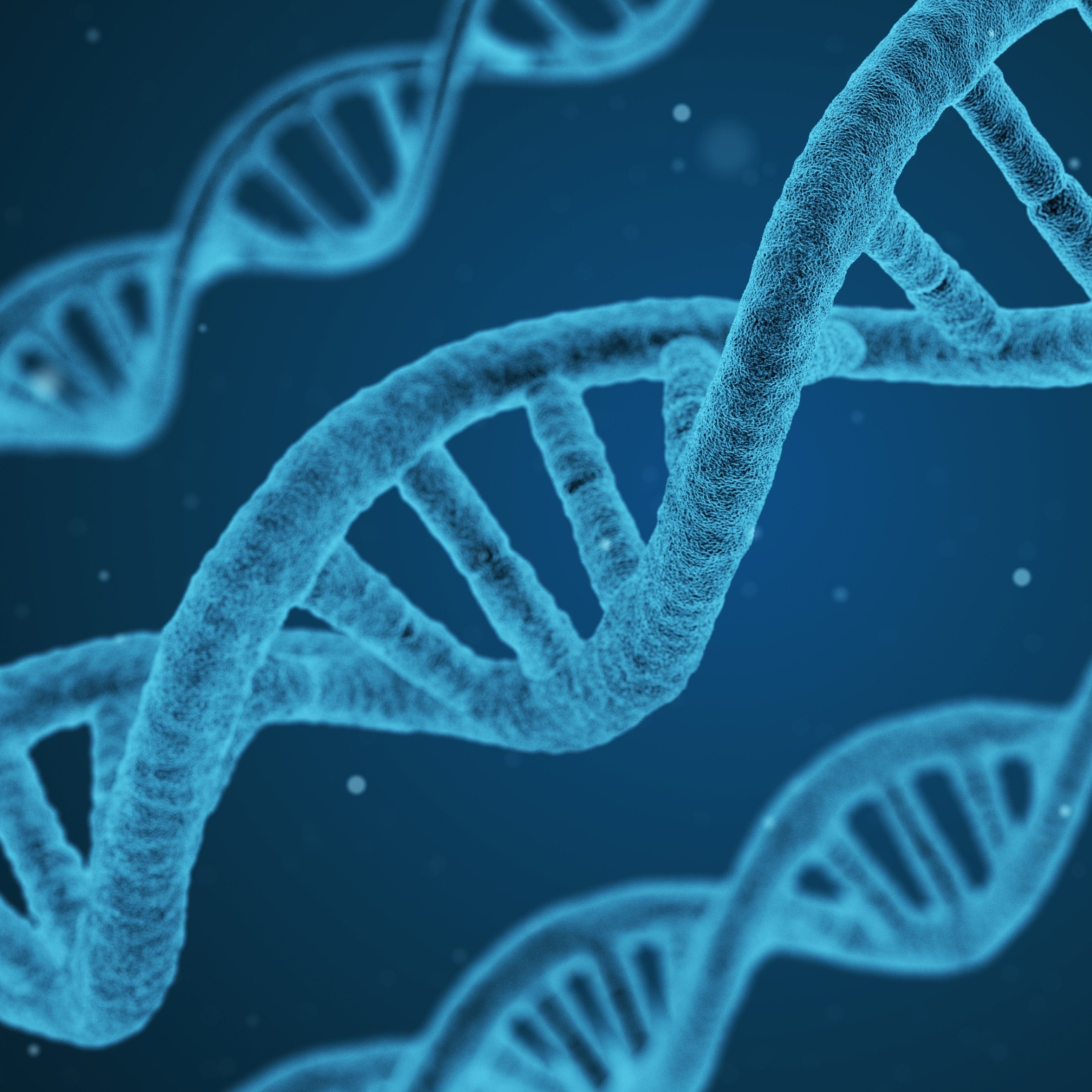 Els gens poden afectar la nostra tolerància als nutrients