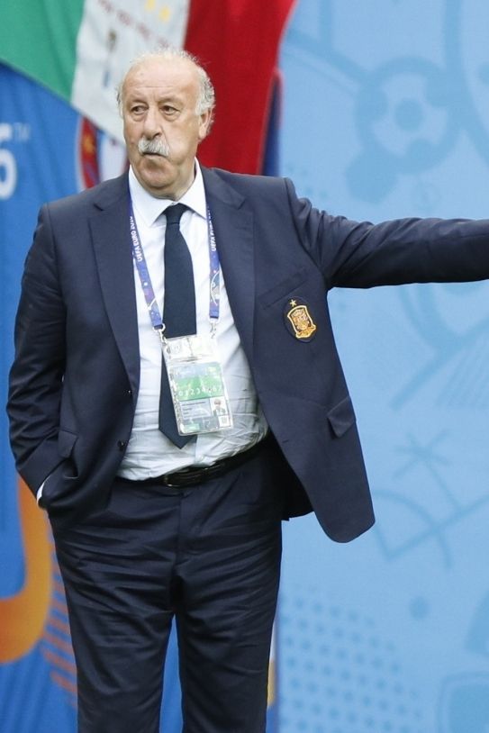 Del Bosque Eurocopa EFE