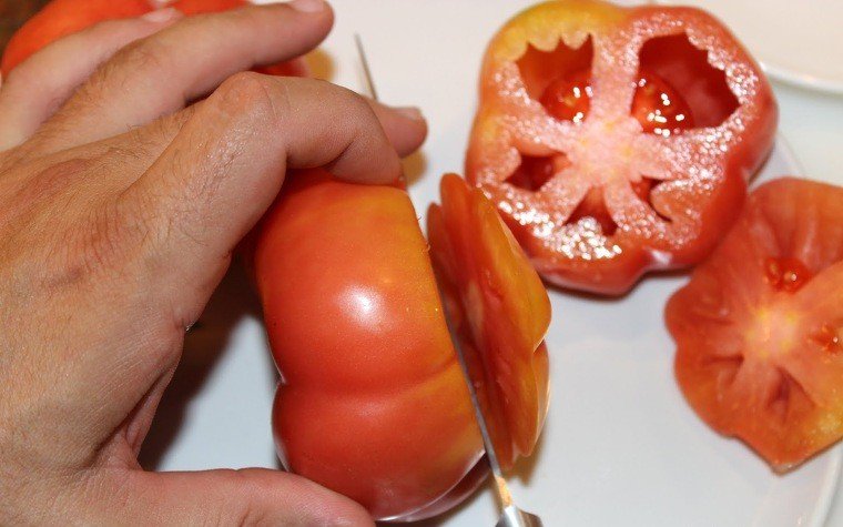 tomaquets montserrat farcits tonyina ou dur pas6
