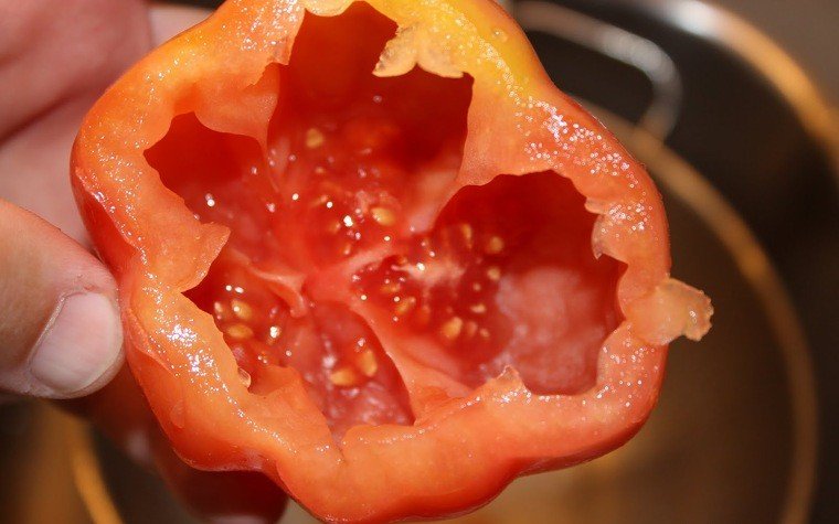 tomaquets montserrat farcits tonyina ou dur pas9