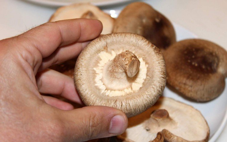 truita patates sucosa shiitake pas2