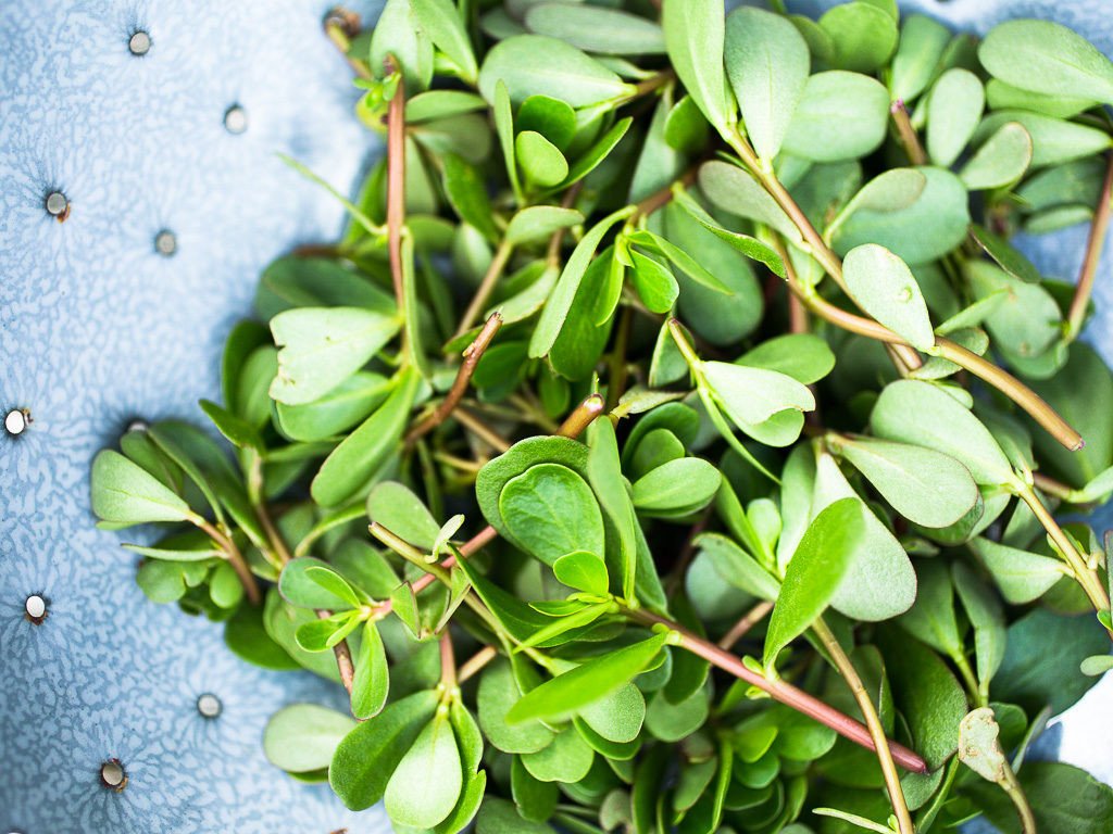 Un vegetal que ens aporta molt a l'organisme i que no tots coneixen