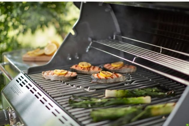 Barbacoa de gas Summit S 670 GBS de WEBER2 Barbacoa de gas Summit S 670 GBS de WEBER2