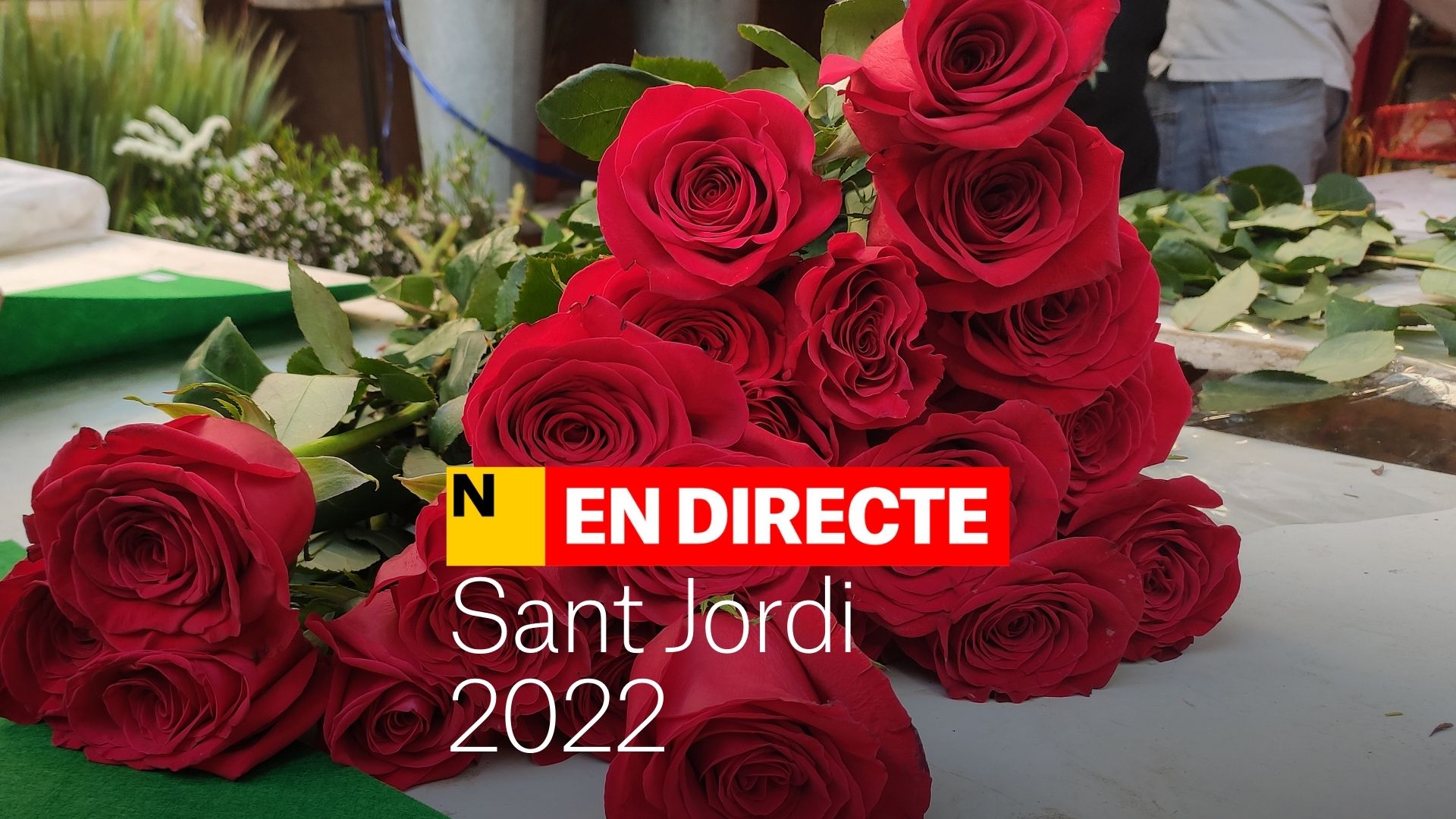 Sant Jordi 2022, DIRECTE | Massiva diada postpandèmia malgrat el mal temps