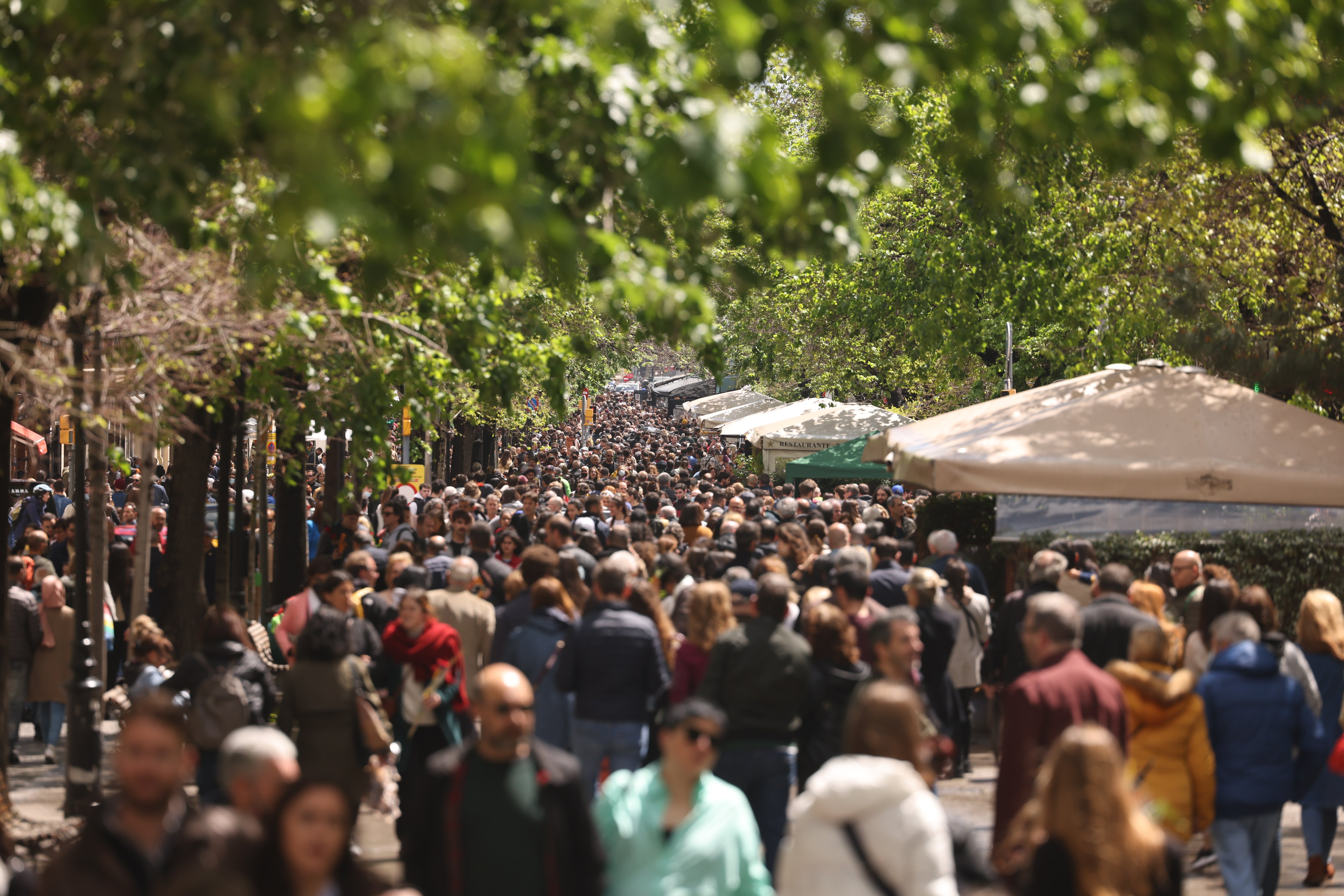 La reurbanización de la Rambla empezará el último trimestre de 2022