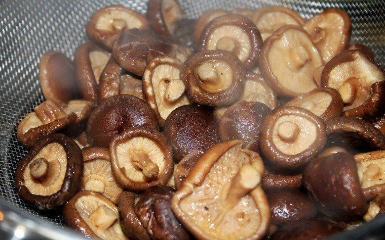 wok gamba shiitake fideus udon pas6