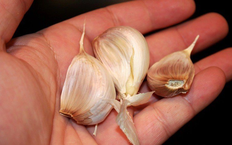 wok gamba shiitake fideus udon pas12