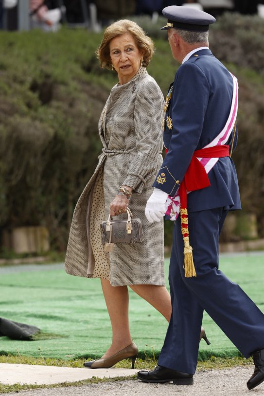 Reina Sofía mala cara jura bandera EFE