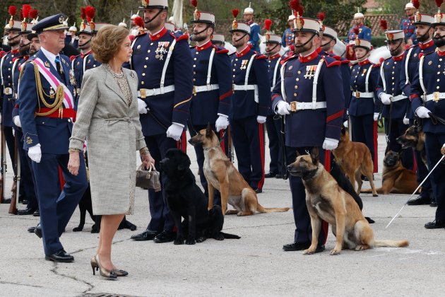Reina Sofía jura bandera perros GTRES