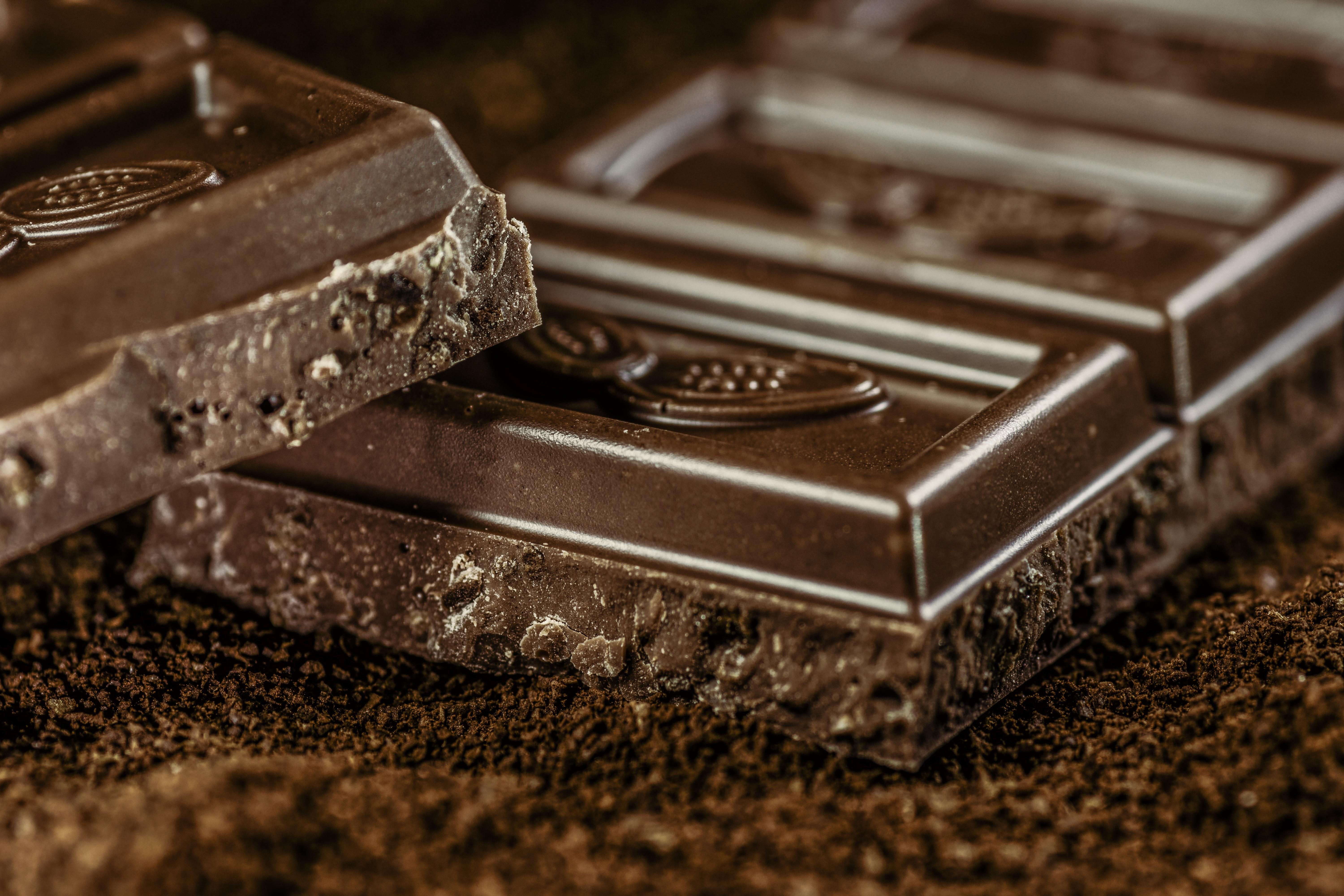 Xocolata Xocolata