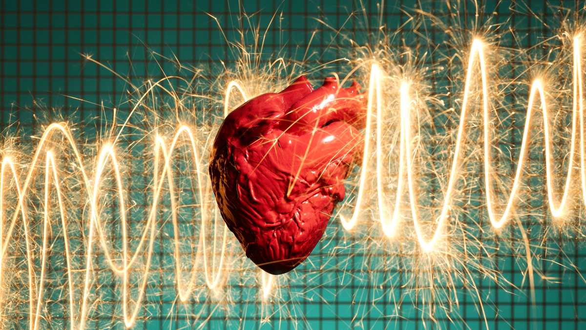 El cor és un dels nostres òrgans vitals. Aprèn a cuidar-lo
